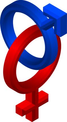 3D style male and female symbols vector clip art