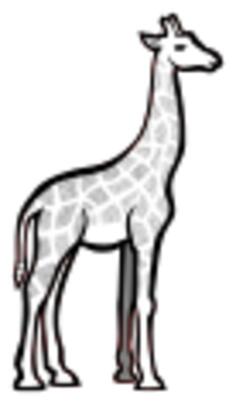 Illustration of spotty giraffe
