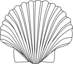 Vector image of simple sea shell in black and white