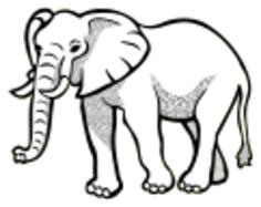 Vector illustration of spotty elephant