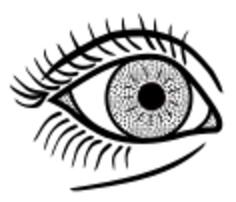 Female eye line art vector graphics