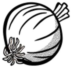 Image of onion in black and white