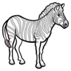 Zebra in black and white vector drawing