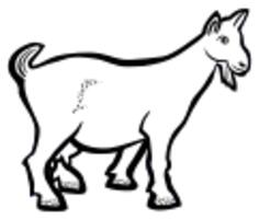 Goat with freckles black and white illustration