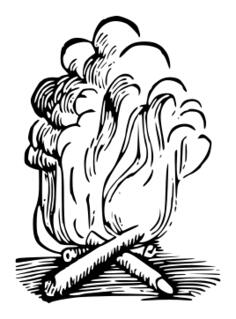 Campfire with smoke vector image