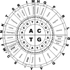 Genetic code BW vector illustration