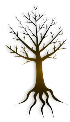 Tree trunk vector illustration