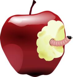 Vector illustration of worm in an apple