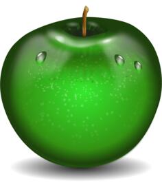 Vector illustration of photorealistic green wet apple