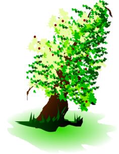 Apple tree oil painting vector graphics