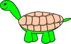 Vector graphics of tortoise with shell