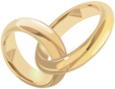 Golden engagement rings vector illustration