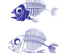 Fish skeleton vector graphics