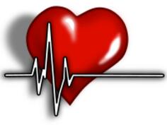 A heart with ECG complex vector illustration