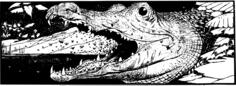 Vector clip art of black and white alligator head
