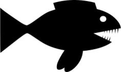 Vector illustration of shark fish