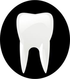 Tooth black an dwhite pictogram vector image