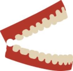 Chattering teeth with red base vector image