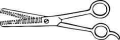 Two blade thinning shears