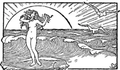 Venus and the half shell vector image