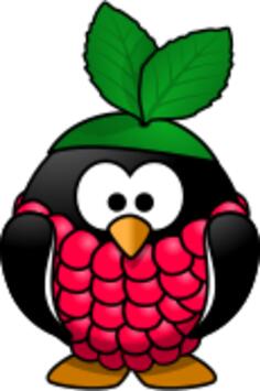 Raspberry penguin vector illustration