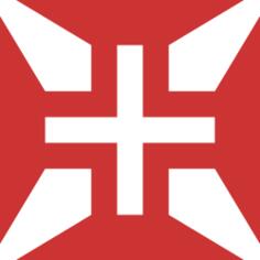Cross of Portuguese air force vector image