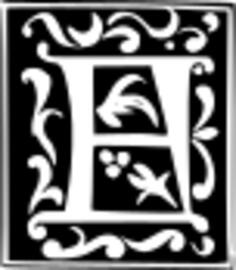 Vector illustration of decorative letter B