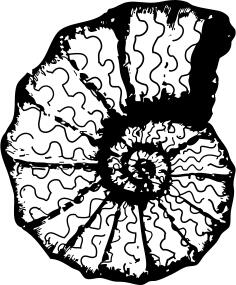 Vector monochrome image of a sea shell.