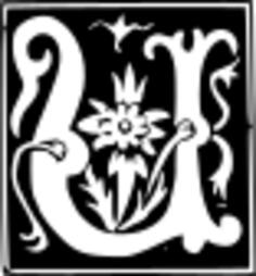 Vector graphics of decorative letter U