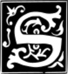 Vector illustration of decorative letter S