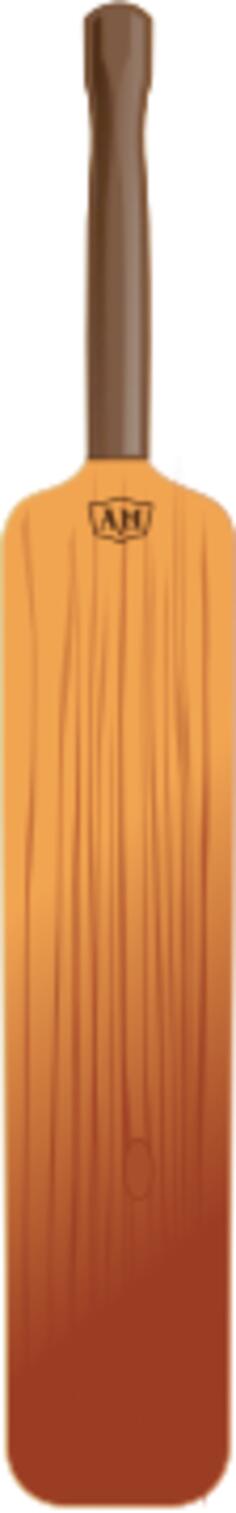 Vector illustration of vintage cricket bat