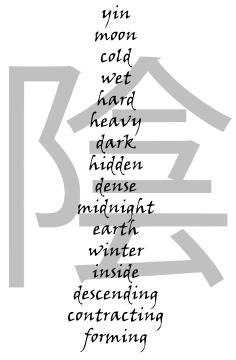 Yin properties vector illustration