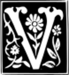 Vector image of decorative letter V