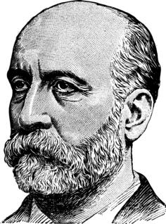 Vector graphics of bearded bald man