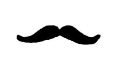Vector drawing of thin male mustache