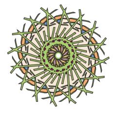 Vector graphics of spiky sticks flower