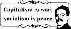 Karl Liebknecht socialism is peace sign vector image