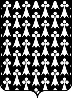 Shield Pattern Vector