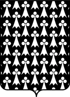 Shield Pattern Vector