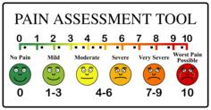 Pain scale vector clip art