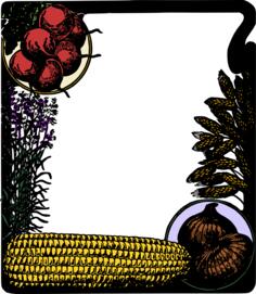 Corn and onion frame vector drawing