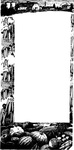 Vector drawing of farm veggies frame
