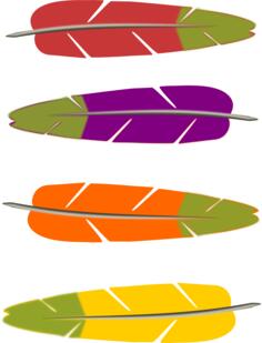 Colored feathers vector graphics
