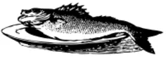 Vector graphics of whole fish on plate
