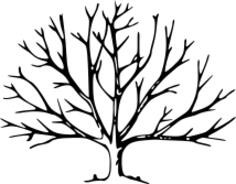 Tree with roots vector graphics