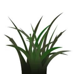 Bunch of grass vector illustration