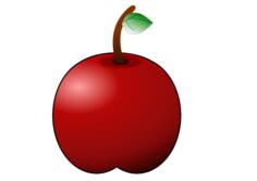 Glossy apple line art vector graphics