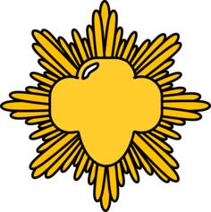 Gold award pin vector image