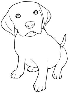 Vector illustration of cute puppy for coloring in