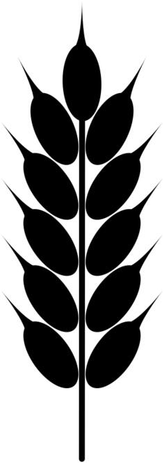 Silhouette vector clip art of wheat